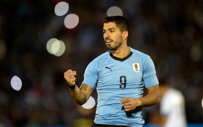 尊皇国际动态-凯西国家队首发位置不稳