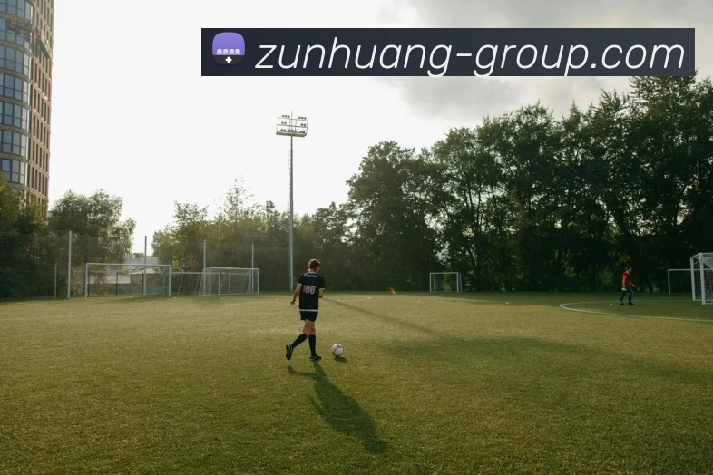 尊皇国际集团APP 封面图